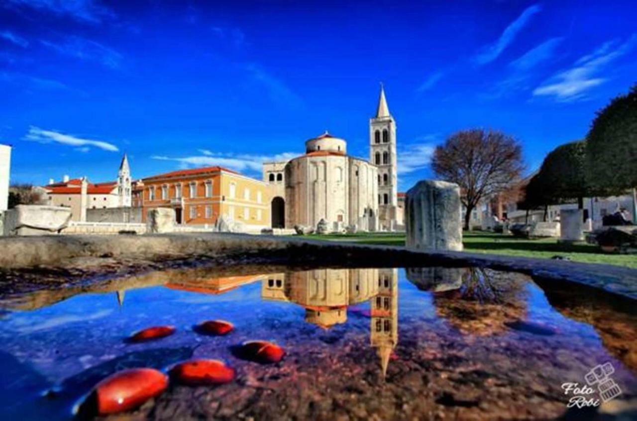 Mara * Zadar